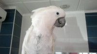 /album/fotogaleria-guarderia/blanquita-jpg/