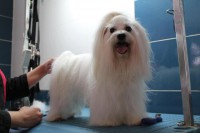 /album/fotogaleria-guarderia/niko-jpg/