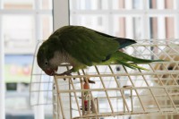 /album/fotogaleria-guarderia/pepe-jpg/