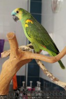 /album/fotogaleria-guarderia/pocho-jpg/
