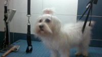 /album/fotogaleria-guarderia/ada-jpg/
