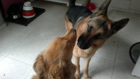 Axel haciendo amigos